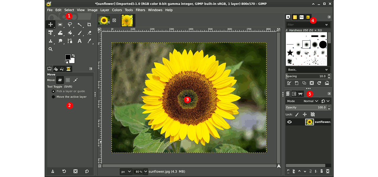 Mad at Adobe Here are your best alternatives to Photoshop, Illustrator,and Premiere Pro